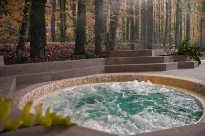 a jacuzzi tub with water in it at Špik Alpine Resort in Kranjska Gora