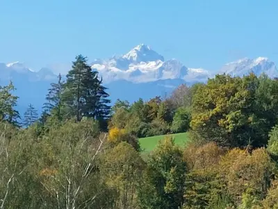 a view of a forest with mountains in the background at Apartma Metka Leše Tržič in Leše