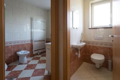 a bathroom with a toilet and a sink at Vacation Home Sofia in Zgornje Gorje
