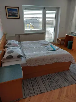 a bedroom with a bed in a room with a window at Apartmaji Tisa in Moravske Toplice