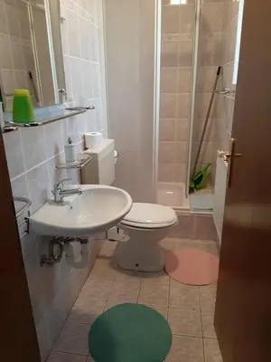 a bathroom with a sink and a toilet and a shower at Apartmaji Tisa in Moravske Toplice