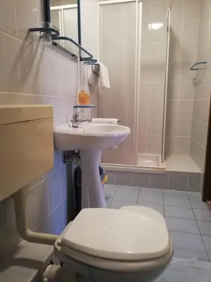 a bathroom with a toilet and a sink and a shower at Apartmaji Tisa in Moravske Toplice