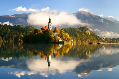 a church on an island in the middle of a lake at Apartma Gaby in Bled