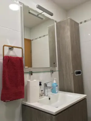 a bathroom sink with a red towel and a mirror at Apartma Gaby in Bled