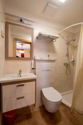 a bathroom with a sink and a toilet and a shower at Farm Stay Malovščevo in Vitovlje