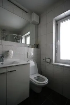 a bathroom with a toilet and a sink and a window at Apartments & Wellness Skok in Mozirje