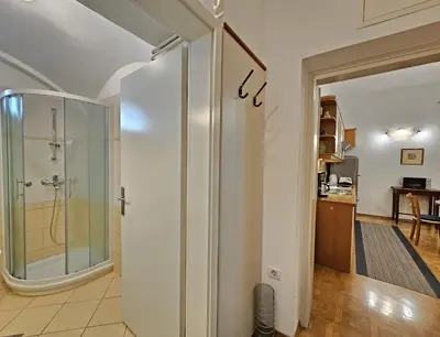 a bathroom with a glass shower in a room at Spacious central studio Nika 2 Tour As Ljubljana in Ljubljana