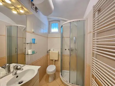 a bathroom with a shower and a toilet and a sink at Spacious central studio Nika 2 Tour As Ljubljana in Ljubljana