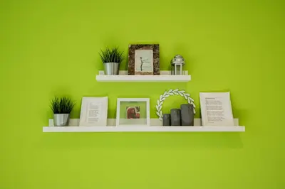 a green wall with a shelf with pictures and plants at Apartmaji BANONIA 