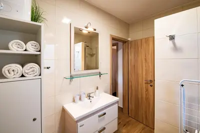 a bathroom with a sink and a shower at Apartmaji BANONIA 