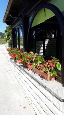 a row of flowers in pots on a building at APARTMENTS 1A RIBNO - BLED in Bled