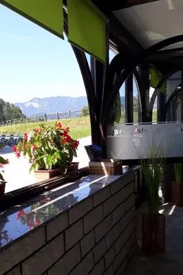 a patio with potted plants and flowers in a building at APARTMENTS 1A RIBNO - BLED in Bled