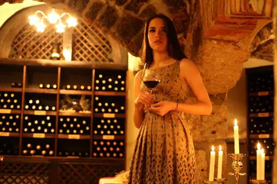a woman in a dress holding a glass of wine at Hotel Actum in Kranj