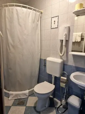a bathroom with a toilet and a sink at Bed and Breakfast Valjavec in Kranj