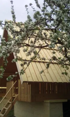 a wooden roof of a building with a tree at farmglamping Planika - Encijan in Hraše