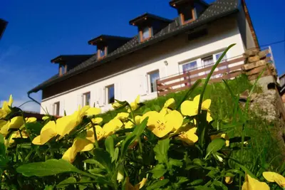 a house with yellow flowers in front of it at Apartmaji Pri Kokolu in Bled