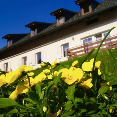Apartmaji Pri Kokolu