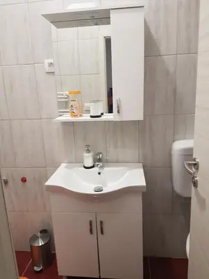 a bathroom with a white sink and a mirror at Apartments Fazarinc with parking, wellness and city store in the center of Celje in Celje