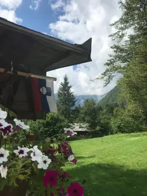 a flag hanging from a house in a field of flowers at House Berdnik in Stahovica