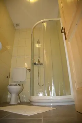 a bathroom with a shower and a toilet at House Berdnik in Stahovica
