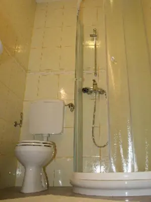 a bathroom with a shower with a toilet and a shower at House Berdnik in Stahovica