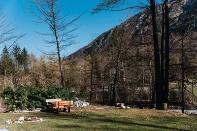 a bench in a field with a mountain in the background at TUBA Apartments in Bohinj