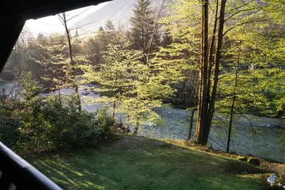 a view from a window of a river with trees at TUBA Apartments in Bohinj
