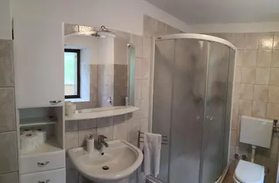 a bathroom with a shower and a sink and a toilet at Apartma Logar in Kobarid