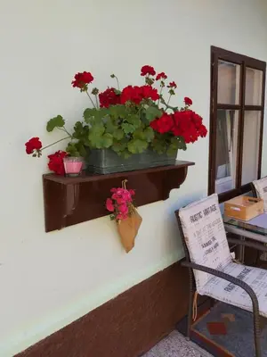 a shelf with red flowers on a wall at Apartments & Rooms Florjana in Bled