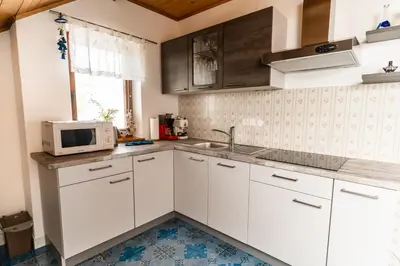 a kitchen with white cabinets and a microwave at Apartments & Rooms Florjana in Bled