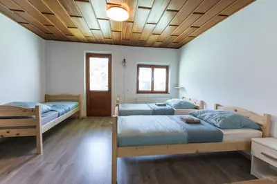a bedroom with two beds and a wooden ceiling at Dolar Rooms in Bled
