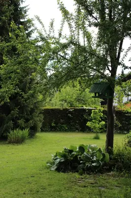 a bird feeder on a tree in a yard at Apartments Poldi in Bled