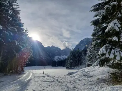 a snow covered road with the sun in the mountains at Apartmaji Volf in Zgornje Gorje