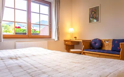 a bedroom with a bed and a desk and a window at Apartmaji Volf in Zgornje Gorje