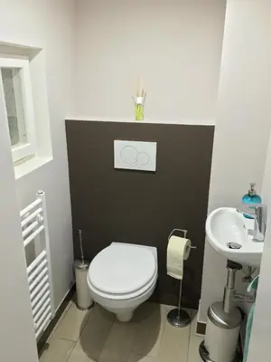 a bathroom with a white toilet and a sink at Apartma Lilly in Bled