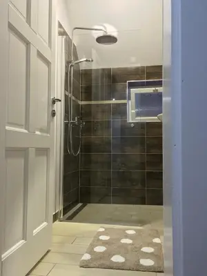 a bathroom with a shower with a glass door at Apartma Lilly in Bled