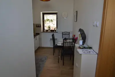a kitchen and dining room with a cat sitting on a counter at Alpino in Ljubljana