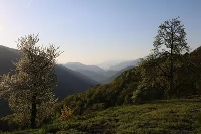 a view of a valley with trees on a hill at Valley View Holiday Home with Sauna Mrak in Slappe dʼIdria