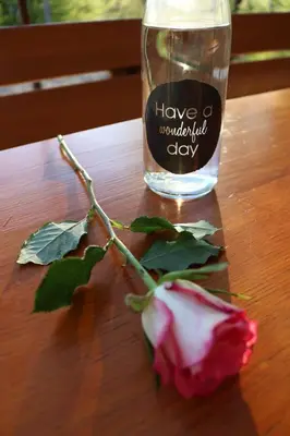 a rose on a table next to a bottle of water at Valley View Holiday Home with Sauna Mrak in Slappe dʼIdria