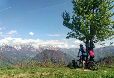 two people riding bikes on a hill with a tree at Valley View Holiday Home with Sauna Mrak in Slappe dʼIdria