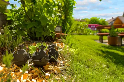a garden with a bunch of plants in the grass at Apartments Rikli Rodine near Bled in Rodine