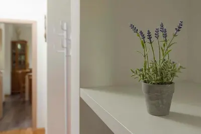 a vase with purple flowers sitting on a counter at Apartments Rikli Rodine near Bled in Rodine