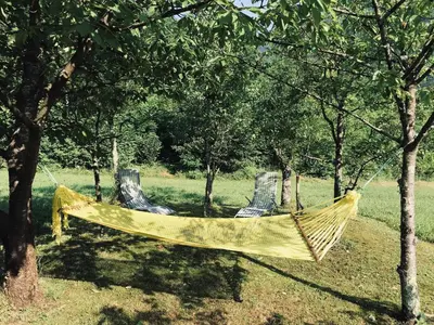 two chairs in a hammock between two trees at Apartma Evi in Žaga