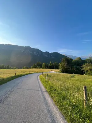 a road leading into a field with mountains in the background at Apartma Evi in Žaga