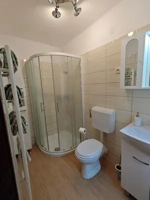 a bathroom with a shower and a toilet and a sink at Apartma Evi in Žaga