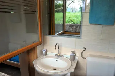 a bathroom with a sink and a toilet and a window at Apartma Marjetica II. in Blejska Dobrava