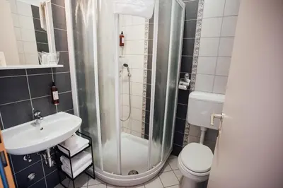 a bathroom with a shower and a sink and a toilet at Sobe Rooms Nataly in Sežana