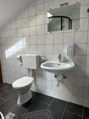 a bathroom with a toilet and a sink at Apartments and Wellness Ščavničar in Ljutomer