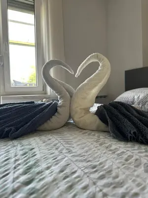 two towelsrendered to look like swans sitting on a bed at Apartments and Wellness Ščavničar in Ljutomer
