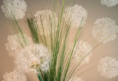 a vase filled with grass and white flowers at Apartmaji BANONIA 